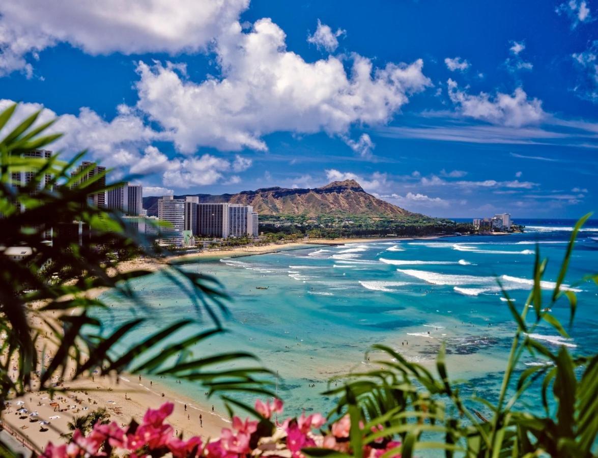 Cozy & Diamond Head View At Waikiki With Parking Lejlighed Honolulu Eksteriør billede